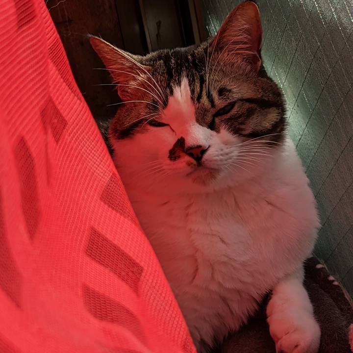 2bd03a49 be12 4b77 952a 68a47563d39d 1703902010801