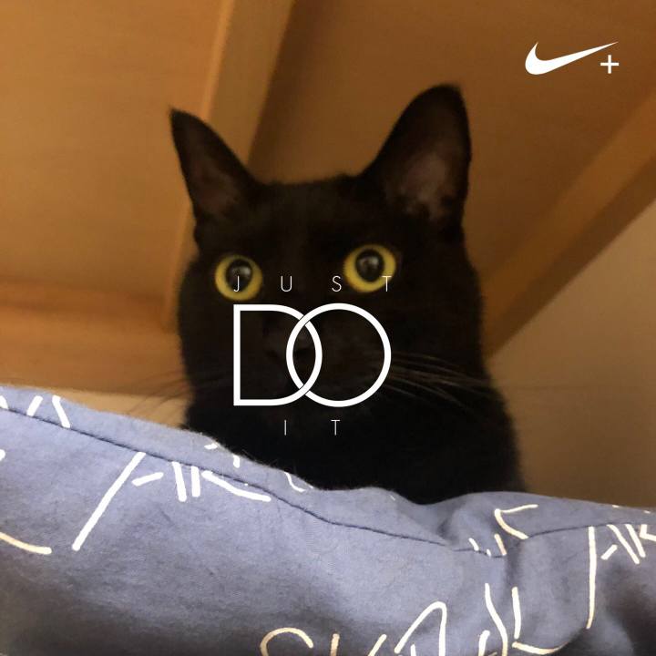 2bd061ca 9df0 4dd0 9ad1 c9e05e709328 1587381448712