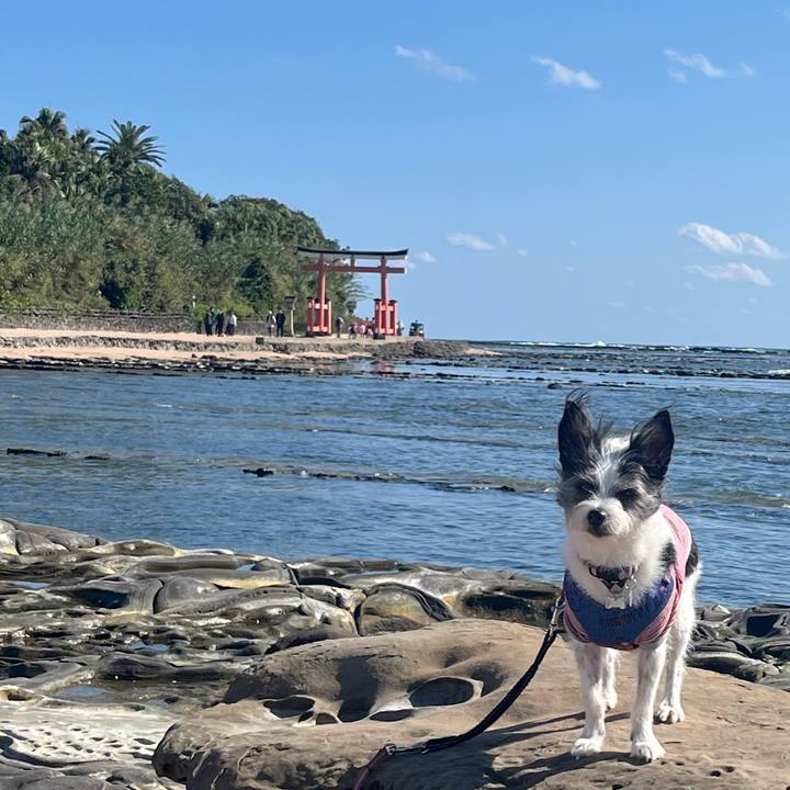 2bd06a59 a55e 4520 8741 690103fbe2d9 1761645094347