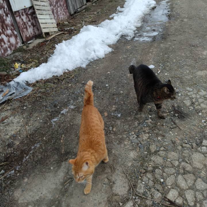 2bd07118 1d44 4e03 b8bb 34b3b4f5e4bf 1677107546928