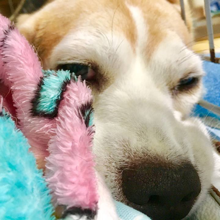 2bd08611 3061 4f03 ba7b 1e95506b5b20 1563602780720