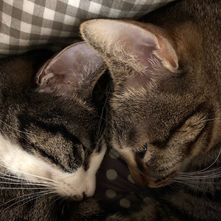 2bd09436 d6e7 4c4f 86ae 8475d2fbb93b 1515546040892