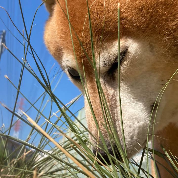 2bd09cdb 47dd 4cb1 9a33 836b5e888585 1690244303568