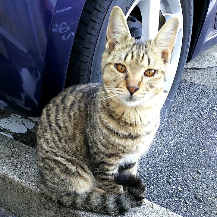 2bd0a3a5 bc2a 44b9 a9f6 2bfc5a9074a1 1509515374110