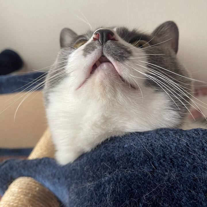 2bd0a5dd f4d1 41b3 9cfe 9bfce9d5d5d9 1731283383327