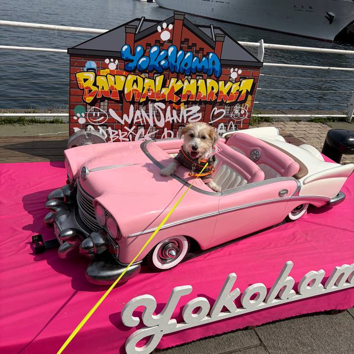 2bd0b78d 34a0 45c7 8b7b 27166464efa4 1774158232515