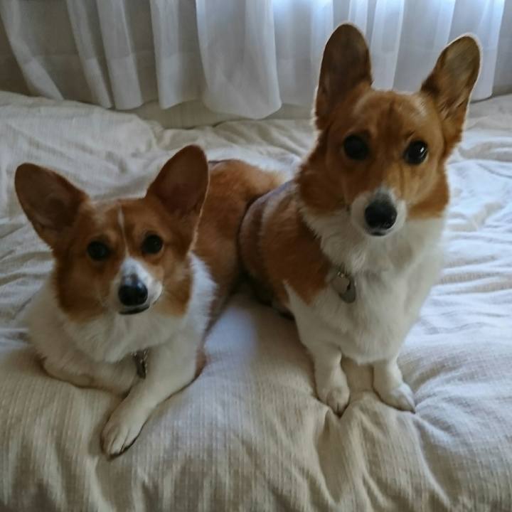 2bd0c806 87b2 4281 a346 7f56d75c22bf 1509692291030