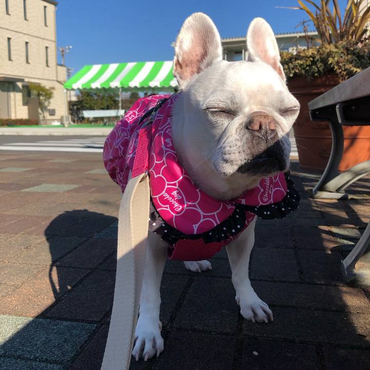 2bd0d887 746d 4e28 a01c 5d081668d001 1673143911888