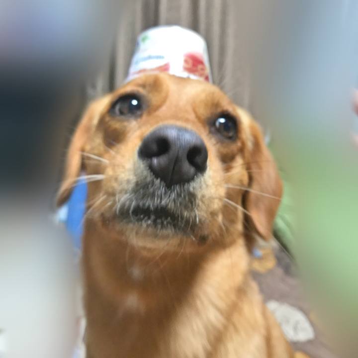 2bd0f3ef 224f 4a1d bb71 7a64513b6eef 1531049939981