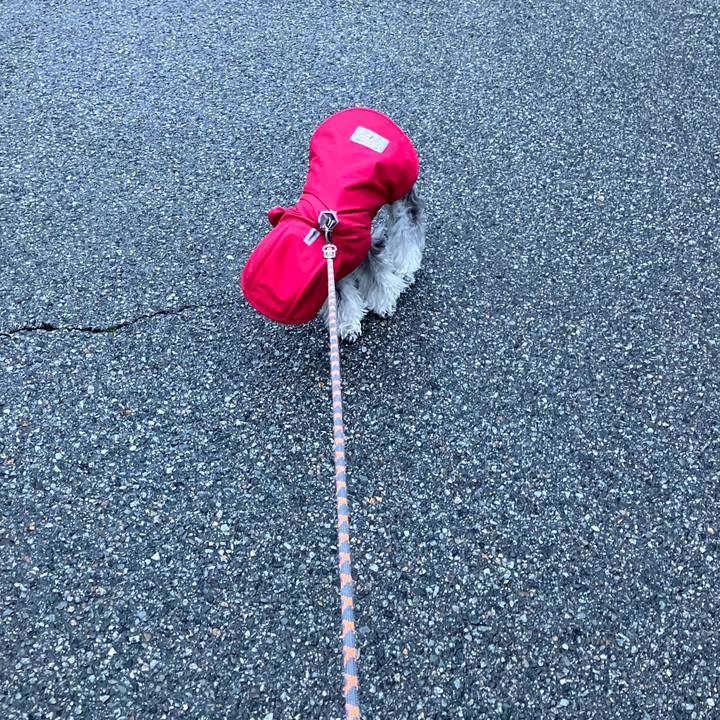 2bd10459 6d37 4fa8 8581 39d7155ee29a 1774475267734