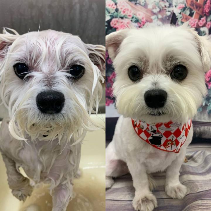 2bd113bd 271e 46cf af55 44524bd08969 1620730471061