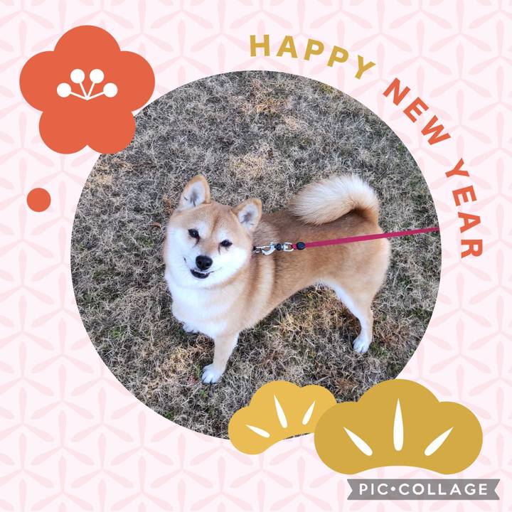 2bd1161b cdb2 44a6 826b 88f7a7b899f8 1735704680229