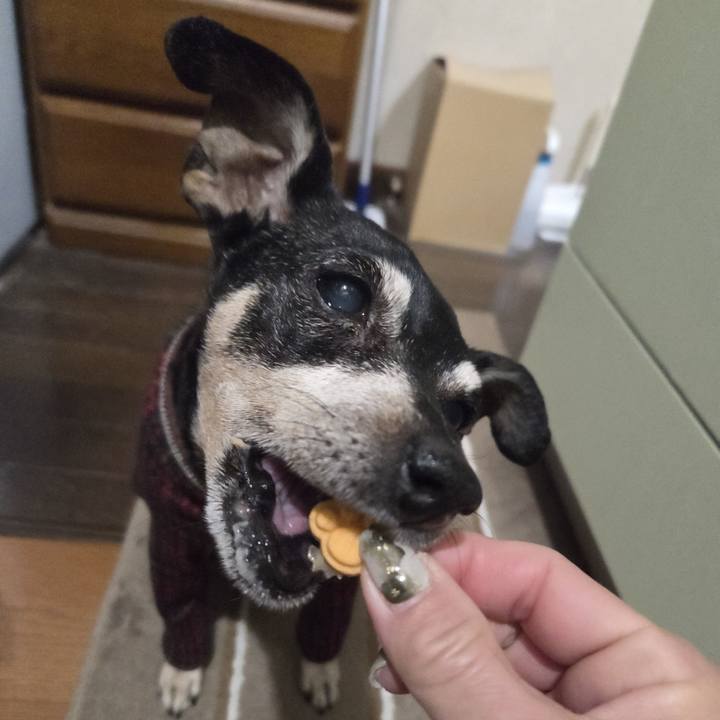 2bd13810 edc3 4017 9d43 c91d555c57a6 1770493699624