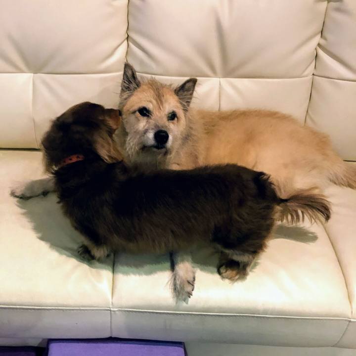 2bd13b94 b4ea 471f 886d e46f3ceb2b45 1575466753971