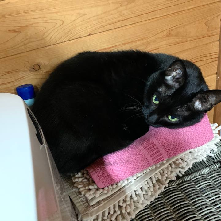 2bd17a97 5214 418d 8b7d 751e0fe518b1 1585732981757