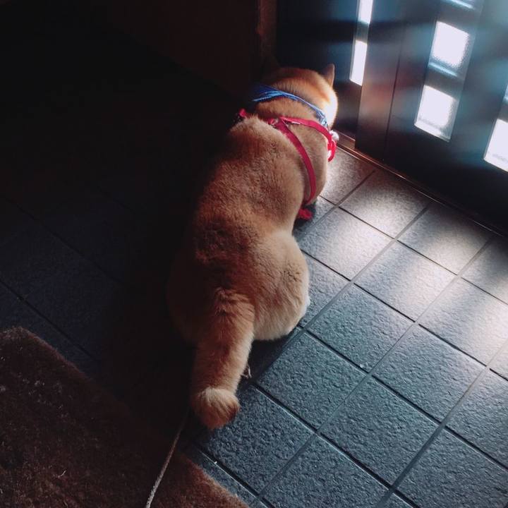 2bd17df6 3780 4453 8714 fff5d54c0486 1561018408918