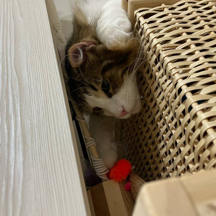 2bd189b0 4d02 4e7d b6b2 936cc7595b83 1638447775713