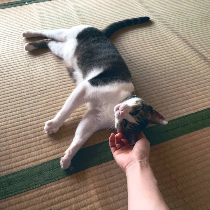 2bd1a4b2 276c 4902 9d81 977132826bd5 1569925538093