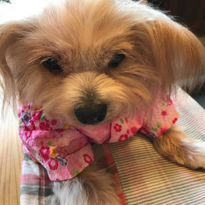 2bd1e779 6e54 433f b52b 7f5bd466bf9b 1533301525090