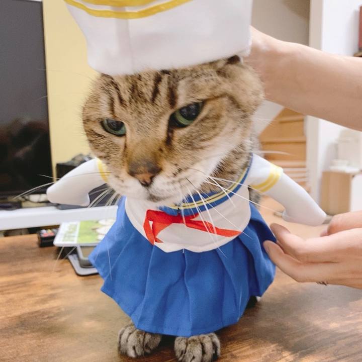 2bd20936 9e40 4fba becb 708a4e2bd396 1727947373244