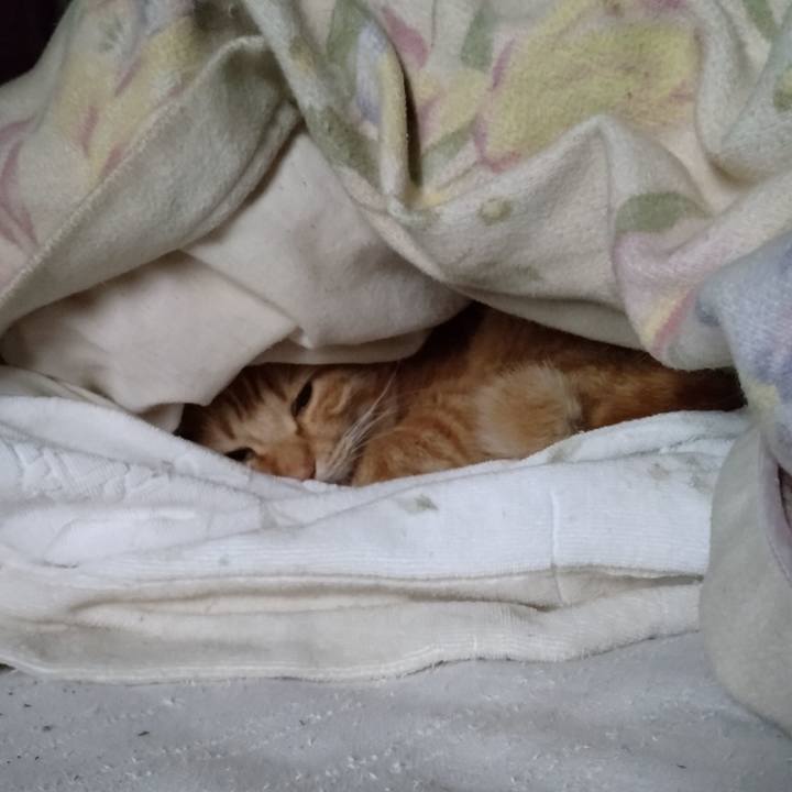 2bd235ad 72ee 4527 8096 40f5229fa975 1717106870205