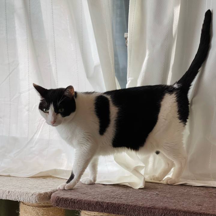 2bd2520e b534 47de 82db b8144bc5444e 1632449305058