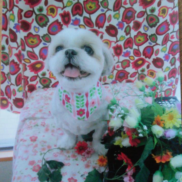 2bd26091 f456 4d08 9a32 30ffc831e21d 1510960912958