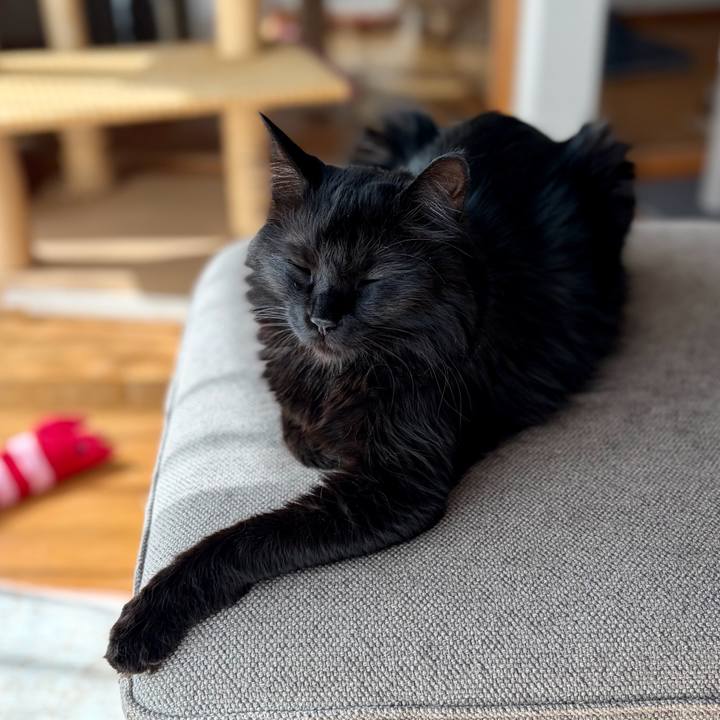 2bd28a36 ed28 4e53 9652 8bfad75b3c23 1773496795081