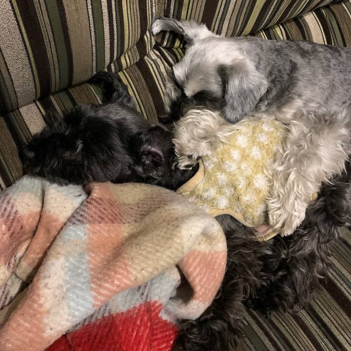 2bd2ee2b a909 4338 9dcf a7f3cc2fa922 1613354463096