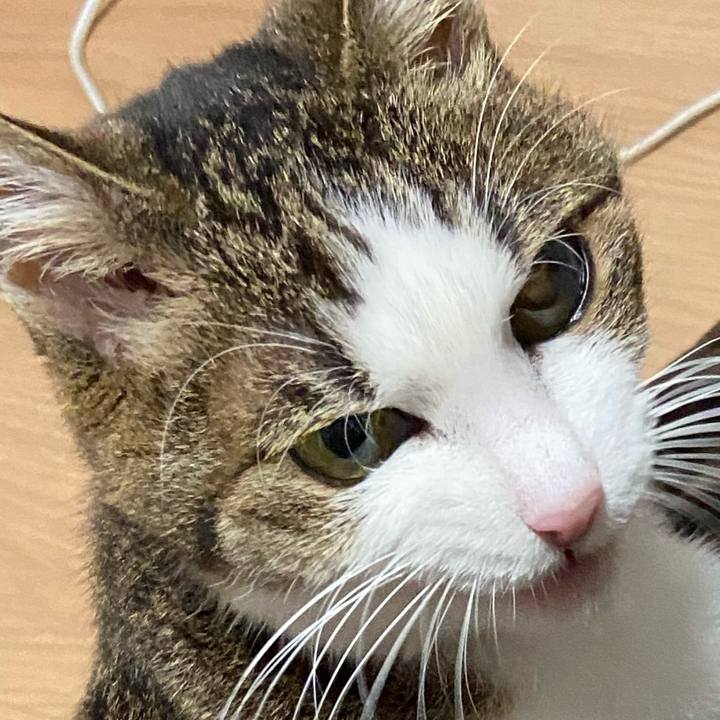 2bd34368 f780 4f1e bb5c 6cfed3c176d0 1581679001181