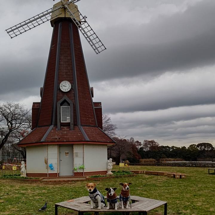 2bd34ac4 e9d6 4c5a b455 4bba56252cf7 1671286241796