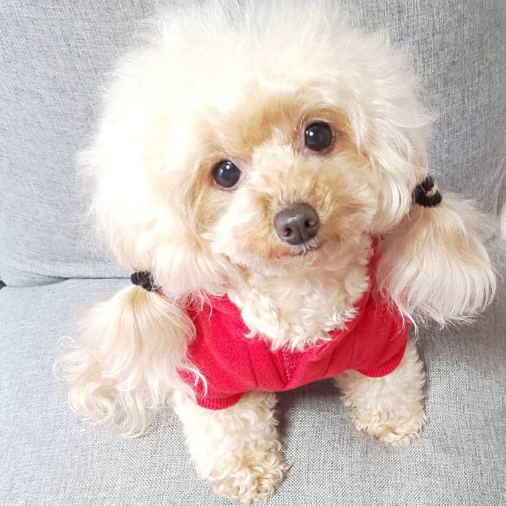 2bd3519b 440c 4f11 befb 12a460bf347f 1573911545836