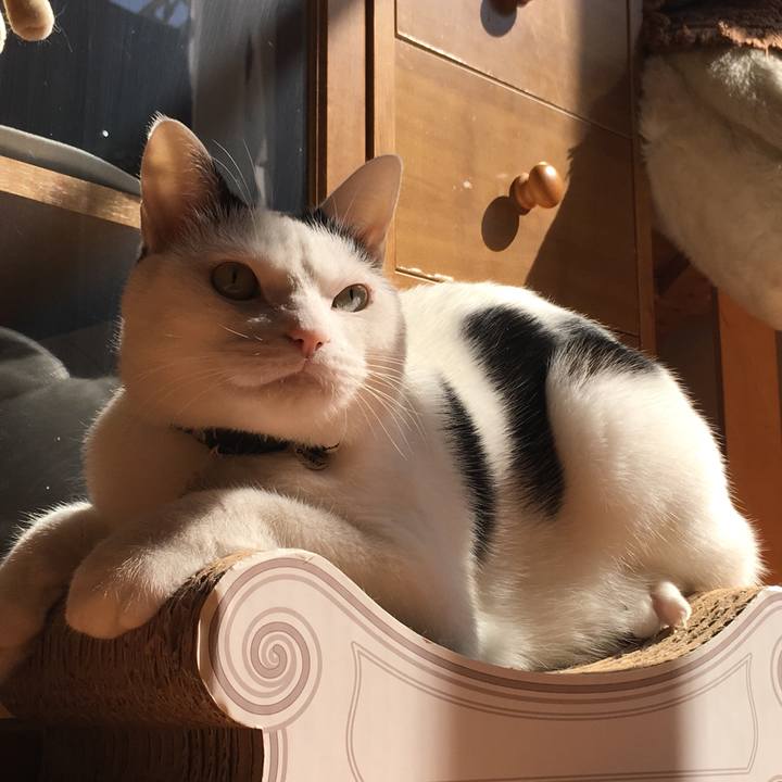 2bd3855b f6ce 4d10 ad86 9043c8b0c6f6 1540177505193