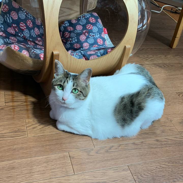 2bd38c42 9715 4e88 b106 6500b46666e7 1618720074318