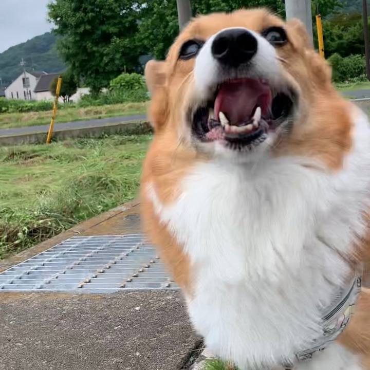 2bd3a1fa 36e8 4f3a ae8a d80893473c05 1654914036233