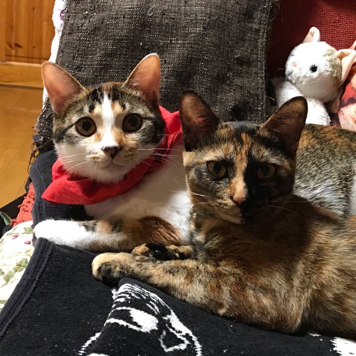 2bd3f417 8281 49e7 b1b8 084e00d9e3f6 1619529717227