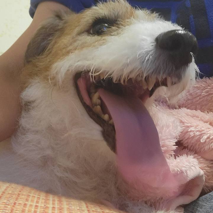 2bd41861 fdc7 4fb0 9e6a d338b80275a0 1721651913072