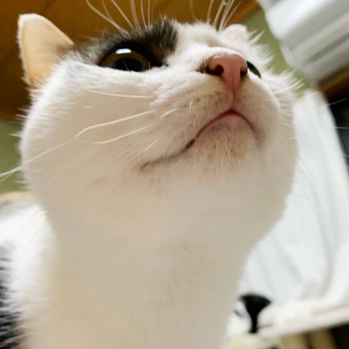 2bd431dc b571 4f84 b192 4035fbe4c393 1541468075617