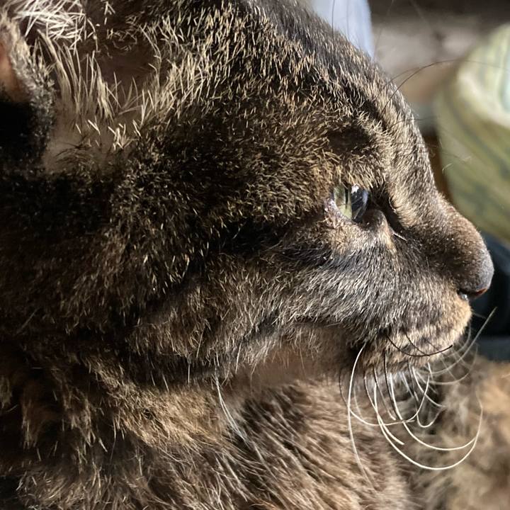 2bd453e5 9043 4808 b0ac 7e09fbf54c80 1662765948647