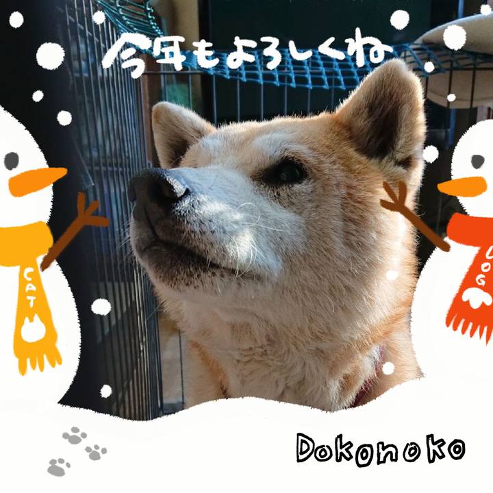 2bd47975 1995 4f9f 95cb b26e050fe6e9 1704102496635