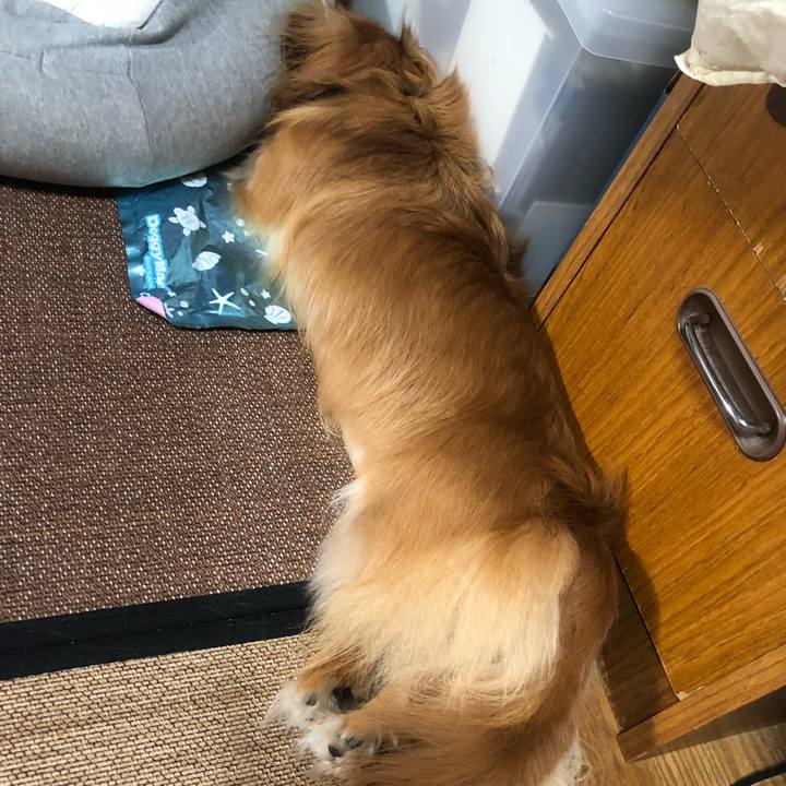 2bd48b52 ddaa 466d b748 6df3f97b2e5a 1537048950117