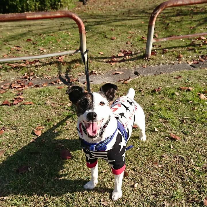 2bd552d9 ee34 4d16 9d7d d5251cd1c5ed 1543632892917