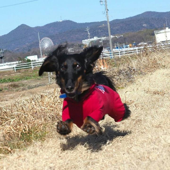 2bd55fff 3987 49cf 949c df916acf20a6 1547350828434