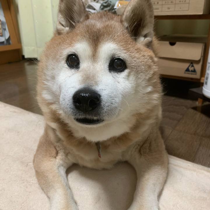 2bd5a1c8 b4ab 401d 8e02 42eef4868c28 1613647104653