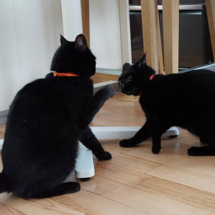 2bd5d040 94ce 442d 9f5b 71ee6b153f42 1531564483592