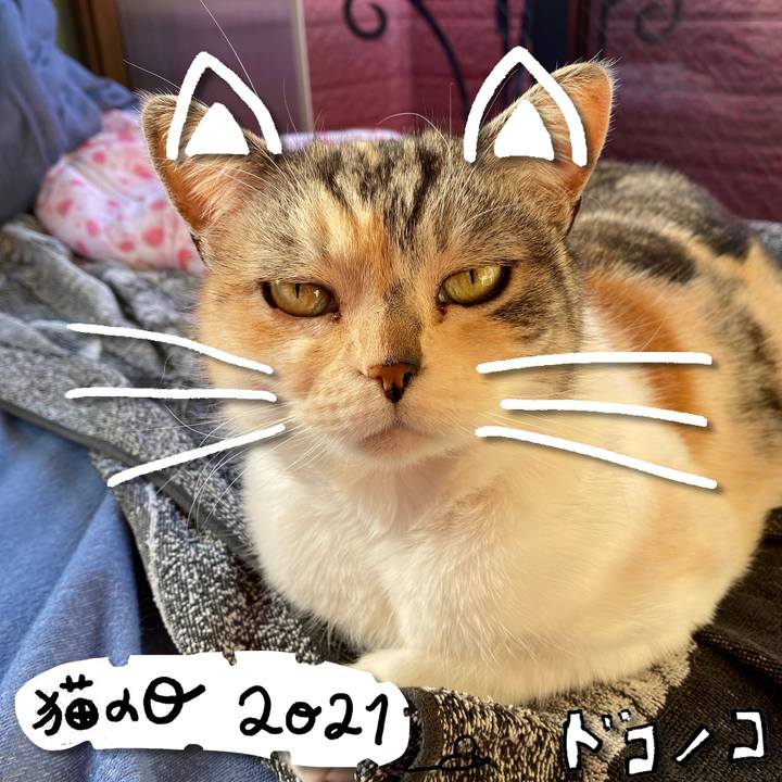 2bd5ddeb c164 44de aabc 6fe8f6b009df 1613978109881