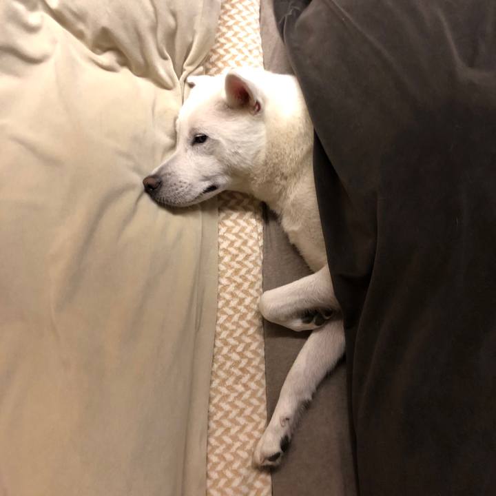 2bd5e39a e001 4ad5 a1ee 4f3623292484 1579879598938