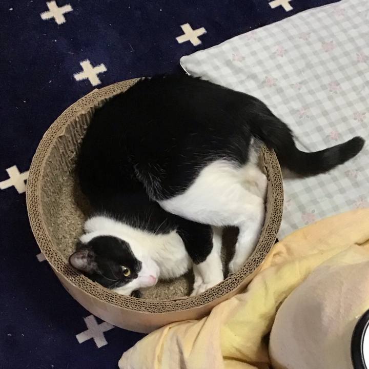 2bd5f530 5473 47ef 8f57 22170188c58c 1736925370333