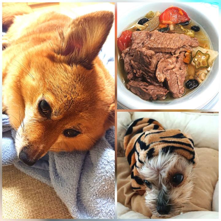 2bd5fe4d 5011 4414 a188 2033695fdcbd 1627855164046