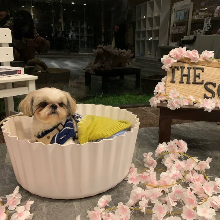 2bd6266b 4962 4f09 8949 be7ad3808f58 1644809455639